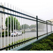 公司介绍